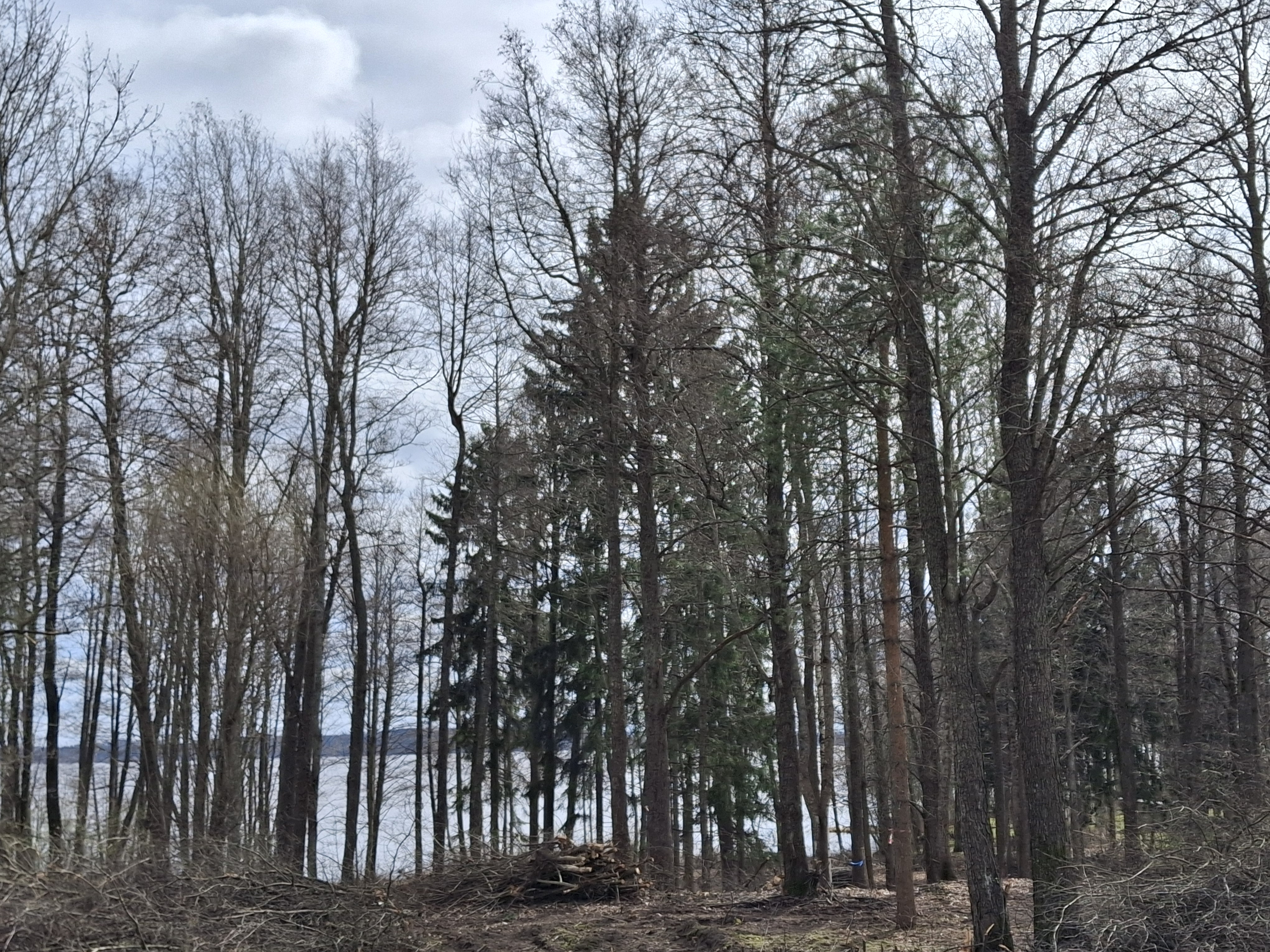 Isompia puita alusrisukon poiston jälkeen