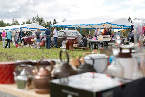 kirppiskierros_päivi ryhtä