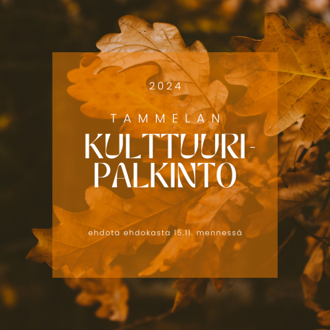 Kulttuuripalkinto 2024