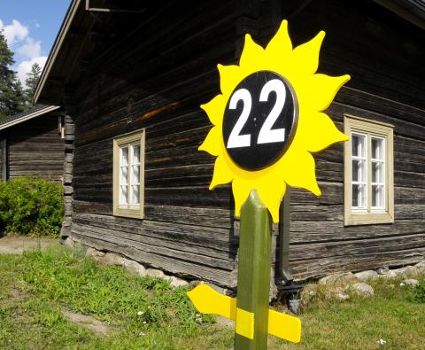 Syrjälän talo_kirppiskierros_auringonkukka
