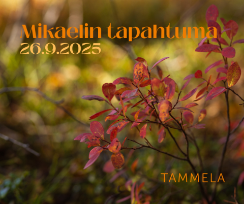 Mikaelin tapahtuma 26.9.2025