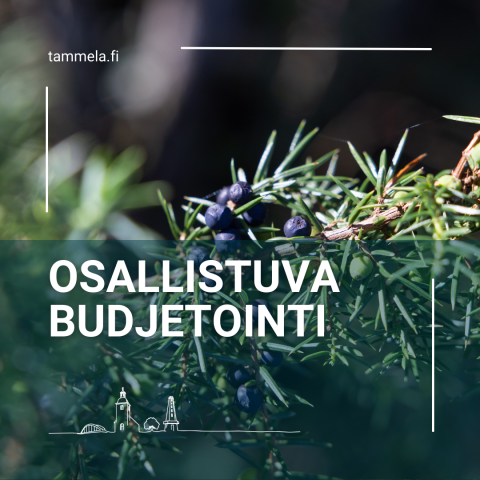 osallistuva budjetointi