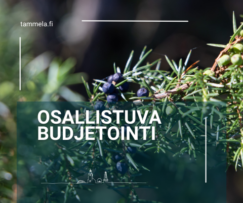 osallistuva budjetointi