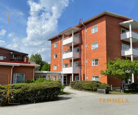 Tammikartano.