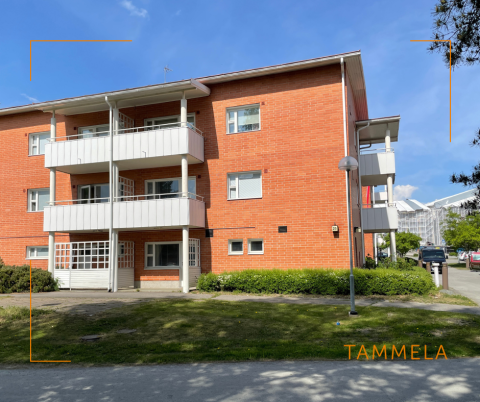 Tammikartano.